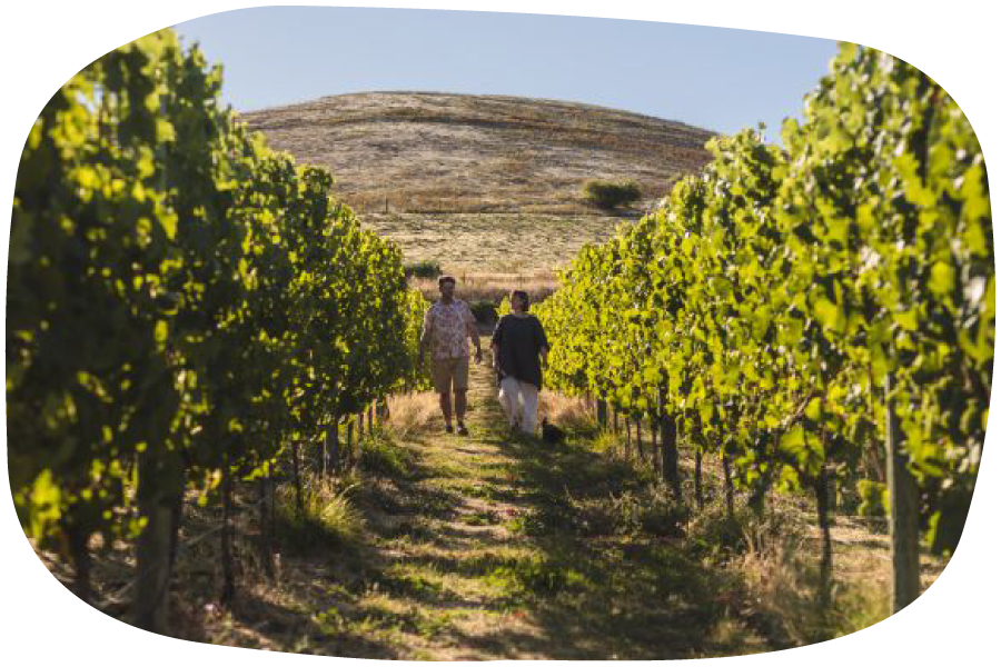 O Naturel Wines